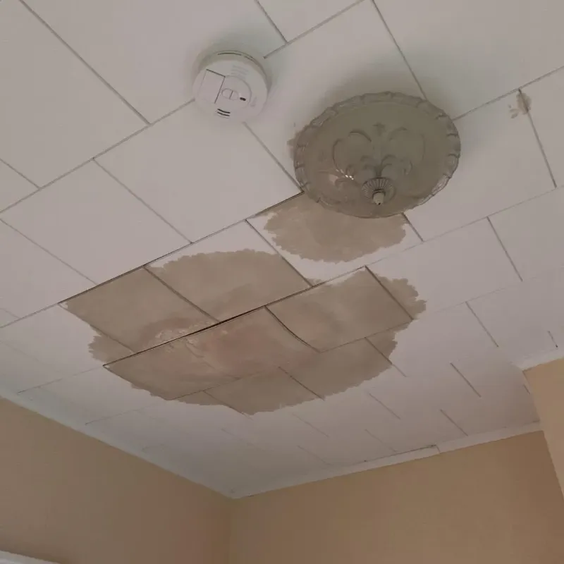 Ceiling Water Damage Repair in Alexandria, MN