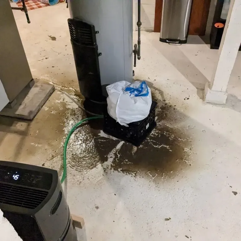 Sewage Backup Cleanup Service in Alexandria, MN